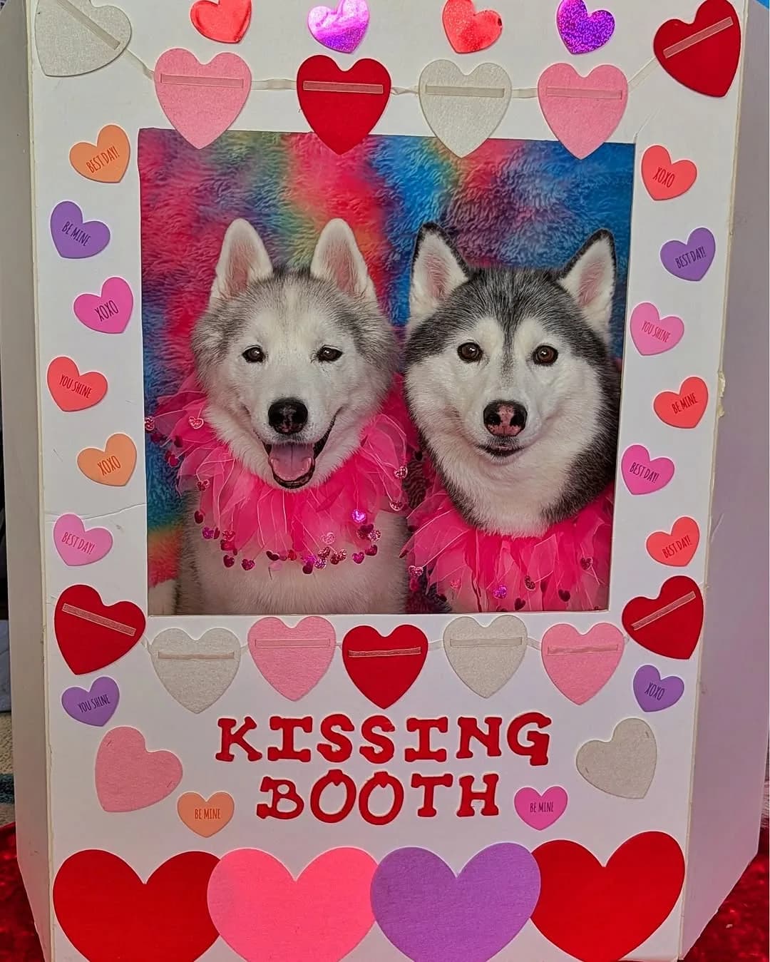 Yes, I know, Valentines day was a few days ago, but I just can't get over this photo of Memphis and Kira! Look at Kira's face! At first, I thought I caught her mid smile, but then as I went back and looked at the 20 photos of this part of the photo shoot, her face is like that in every photo! This is not a normal goofy Kira face, it's a different goofy Kira face! hahaha